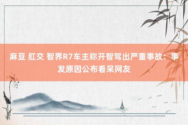 麻豆 肛交 智界R7车主称开智驾出严重事故：事发原因公布看呆网友