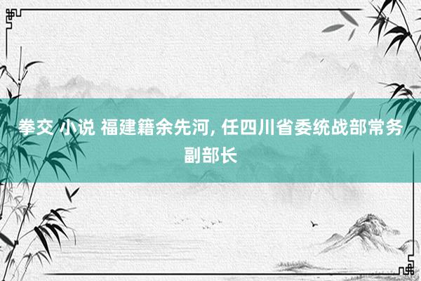   拳交 小说 福建籍余先河, 任四川省委统战部常务副部长