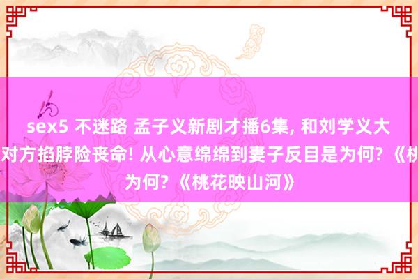 sex5 不迷路 孟子义新剧才播6集, 和刘学义大婚当日竟被